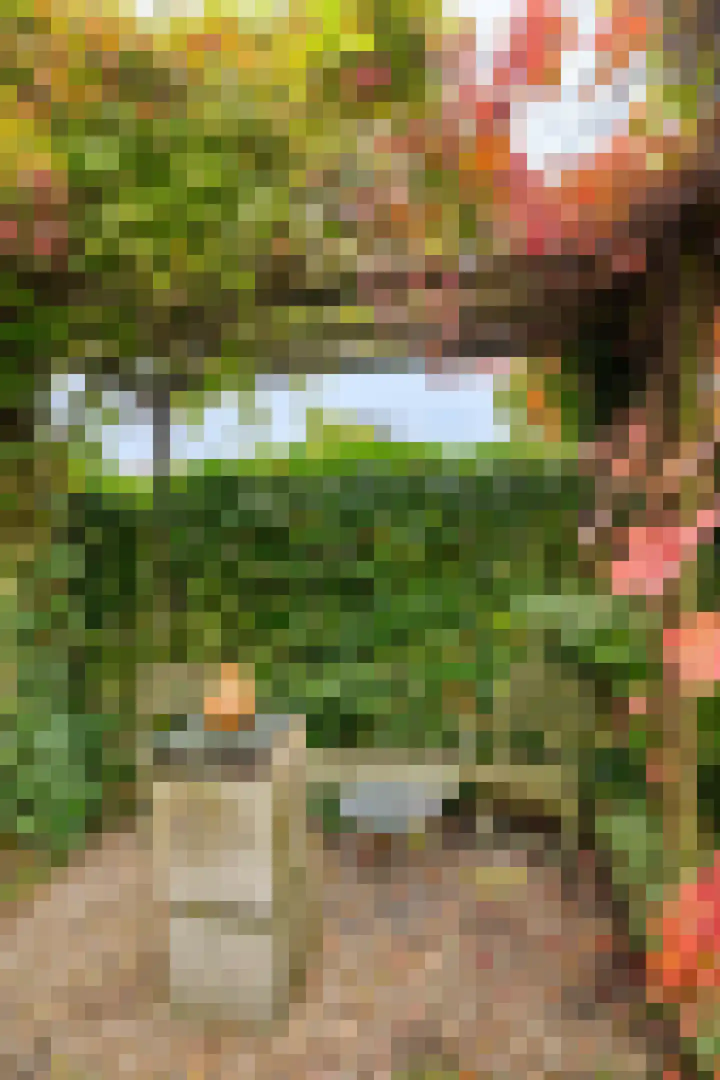 Snip 167 Groningen thumbnail 42