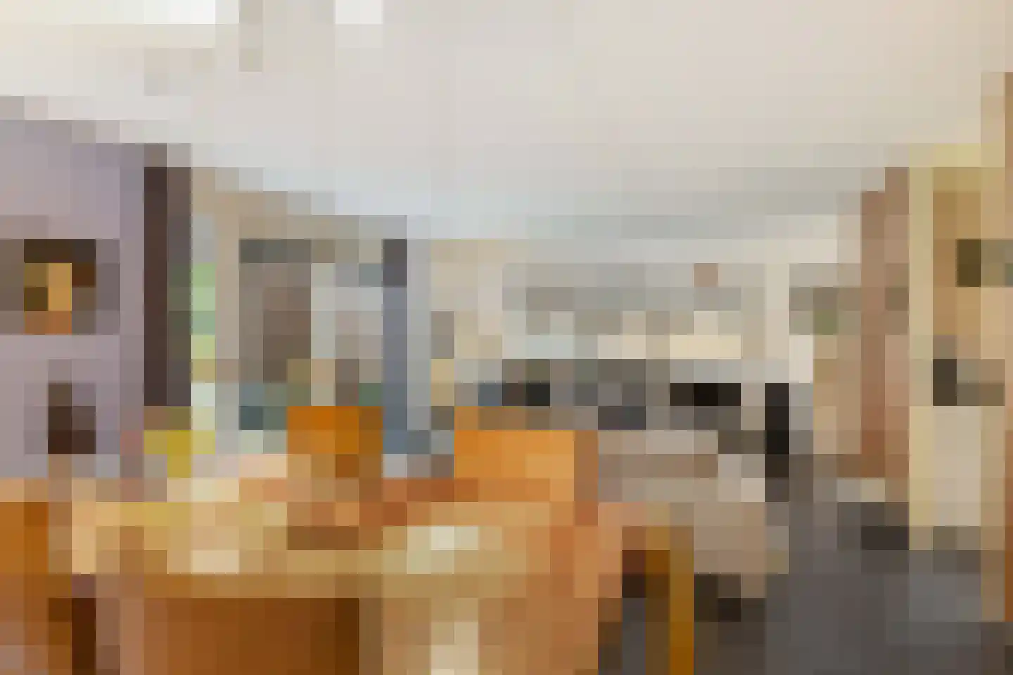 Snip 167 Groningen thumbnail 9