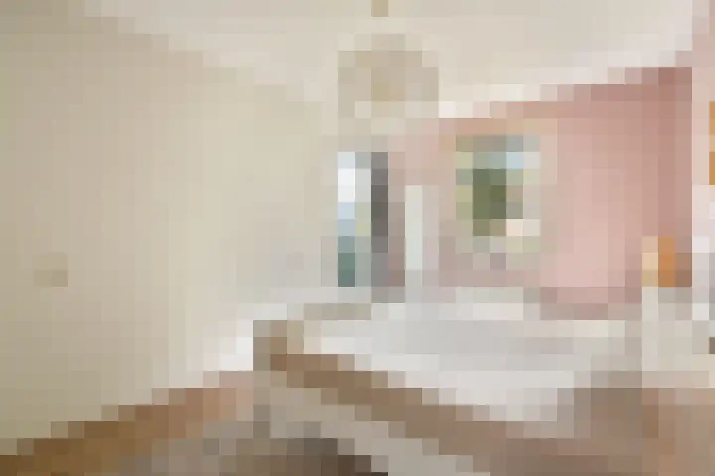 Snip 23 Sassenheim thumbnail 11