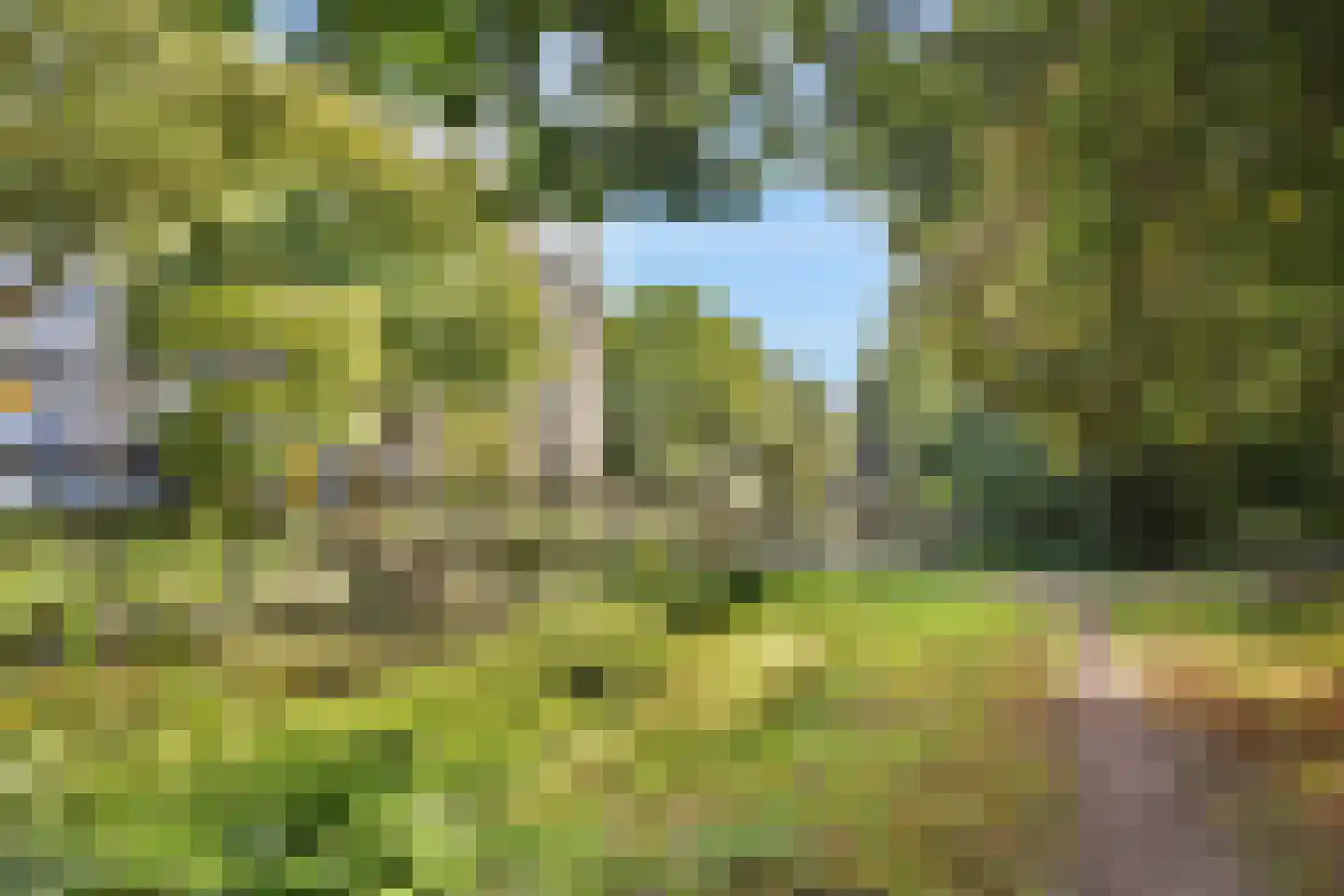 Snip 23 Sassenheim thumbnail 20