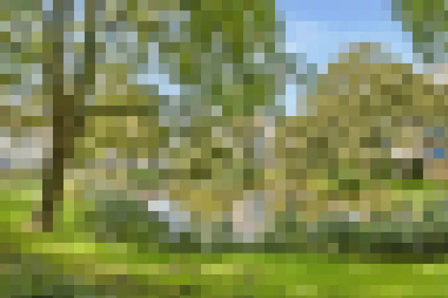Snip 23 Sassenheim thumbnail 21