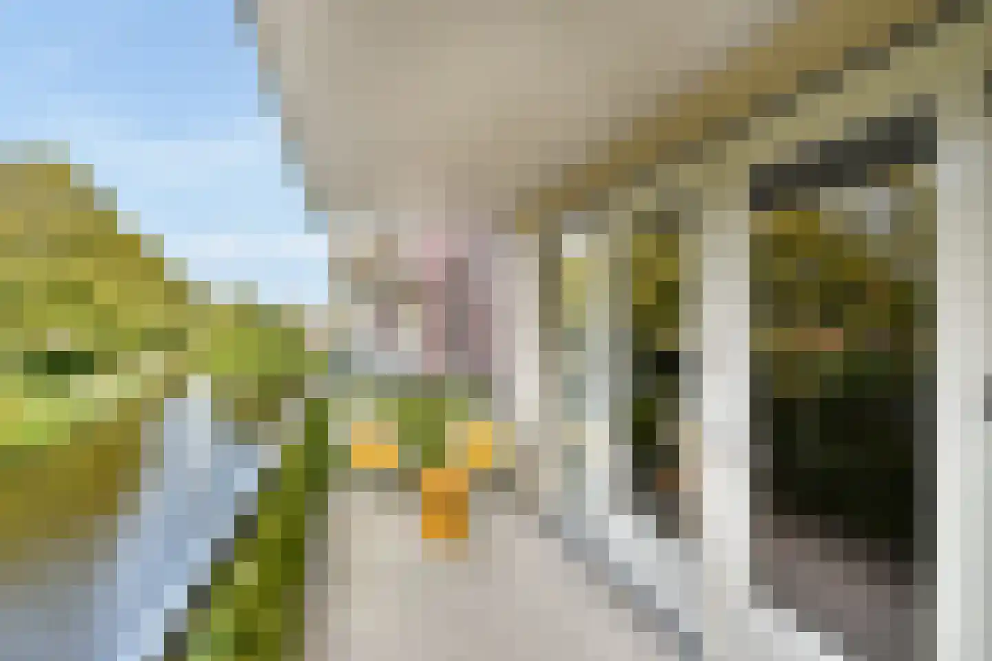 Snip 23 Sassenheim thumbnail 6