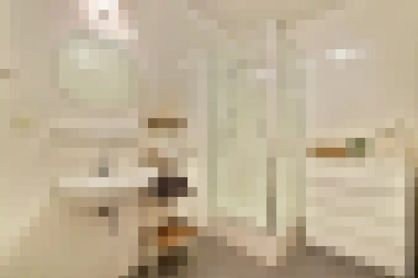 Snip 23 Sassenheim thumbnail 9