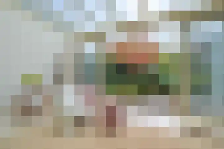 Snip 3 Blaricum thumbnail 10