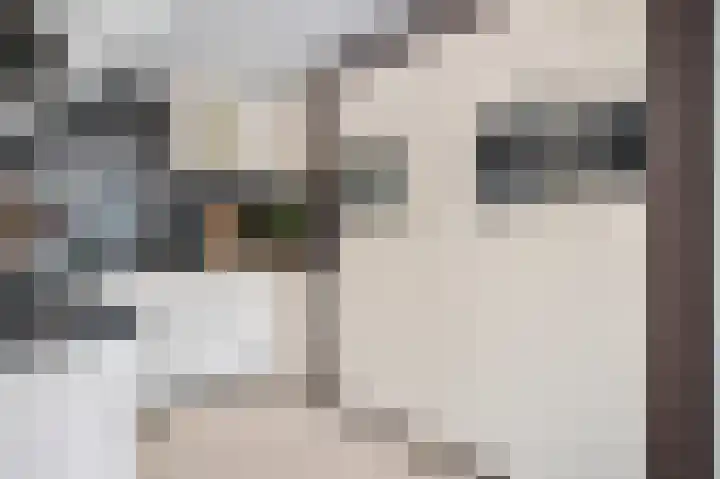 Snip 3 Blaricum foto 3