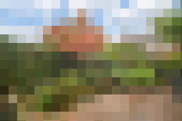 Snip 3 Blaricum thumbnail 30