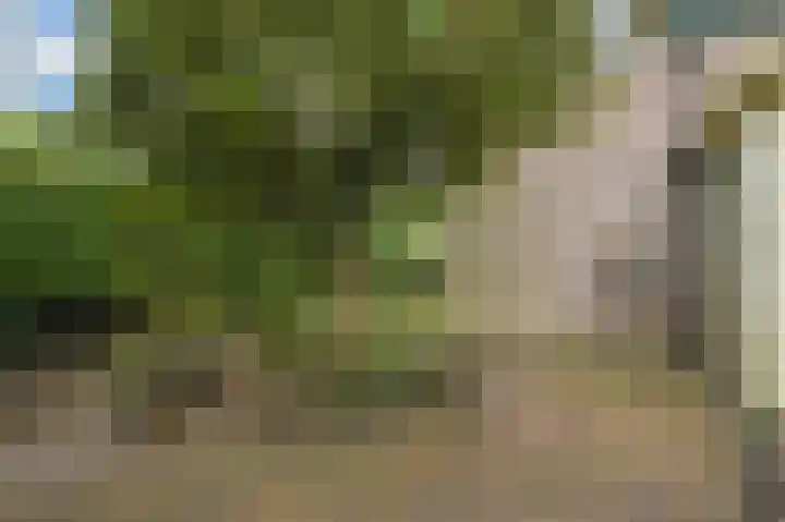 Snip 3 Blaricum thumbnail 31
