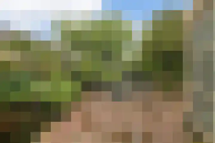 Snip 3 Blaricum thumbnail 35