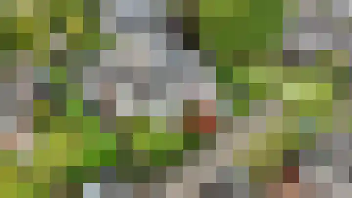 Snip 3 Blaricum thumbnail 37