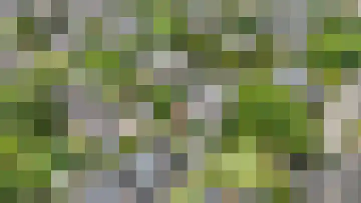 Snip 3 Blaricum thumbnail 38