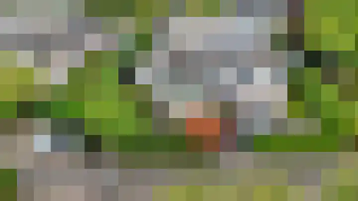 Snip 3 Blaricum thumbnail 39