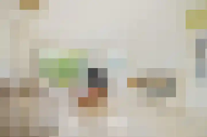 Snip 3 Blaricum thumbnail 4