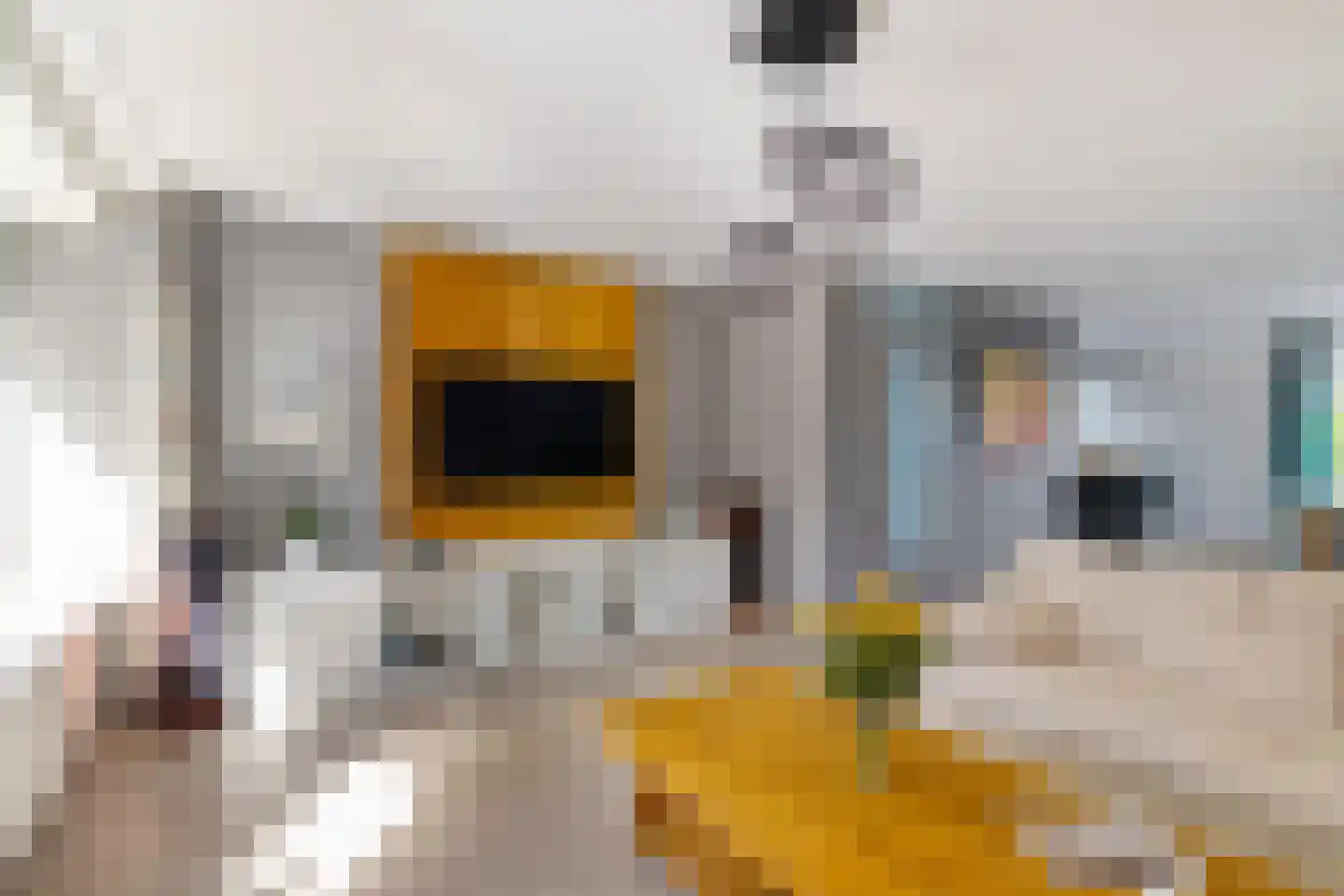 Snip 40 Groningen thumbnail 12