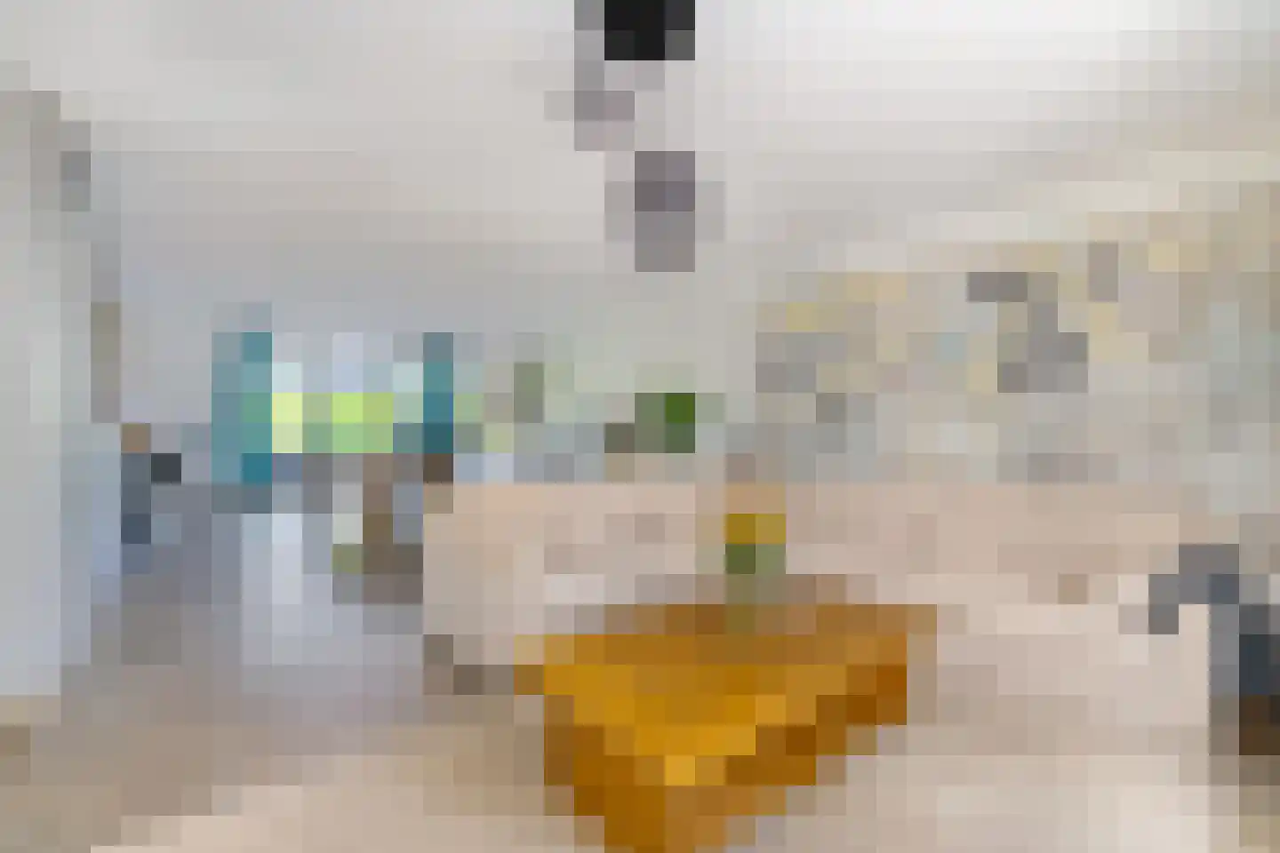 Snip 40 Groningen thumbnail 13