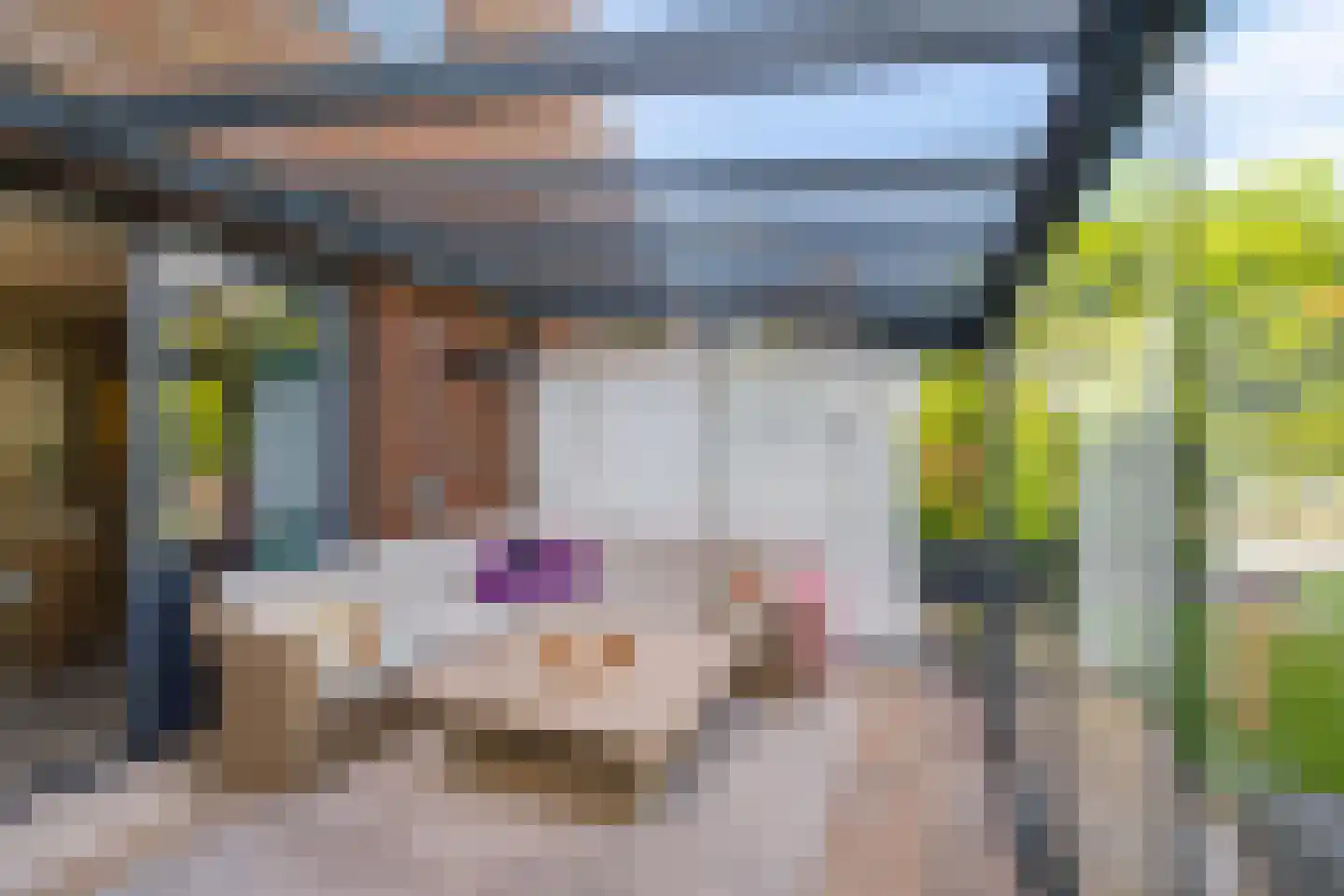 Snip 40 Groningen thumbnail 21