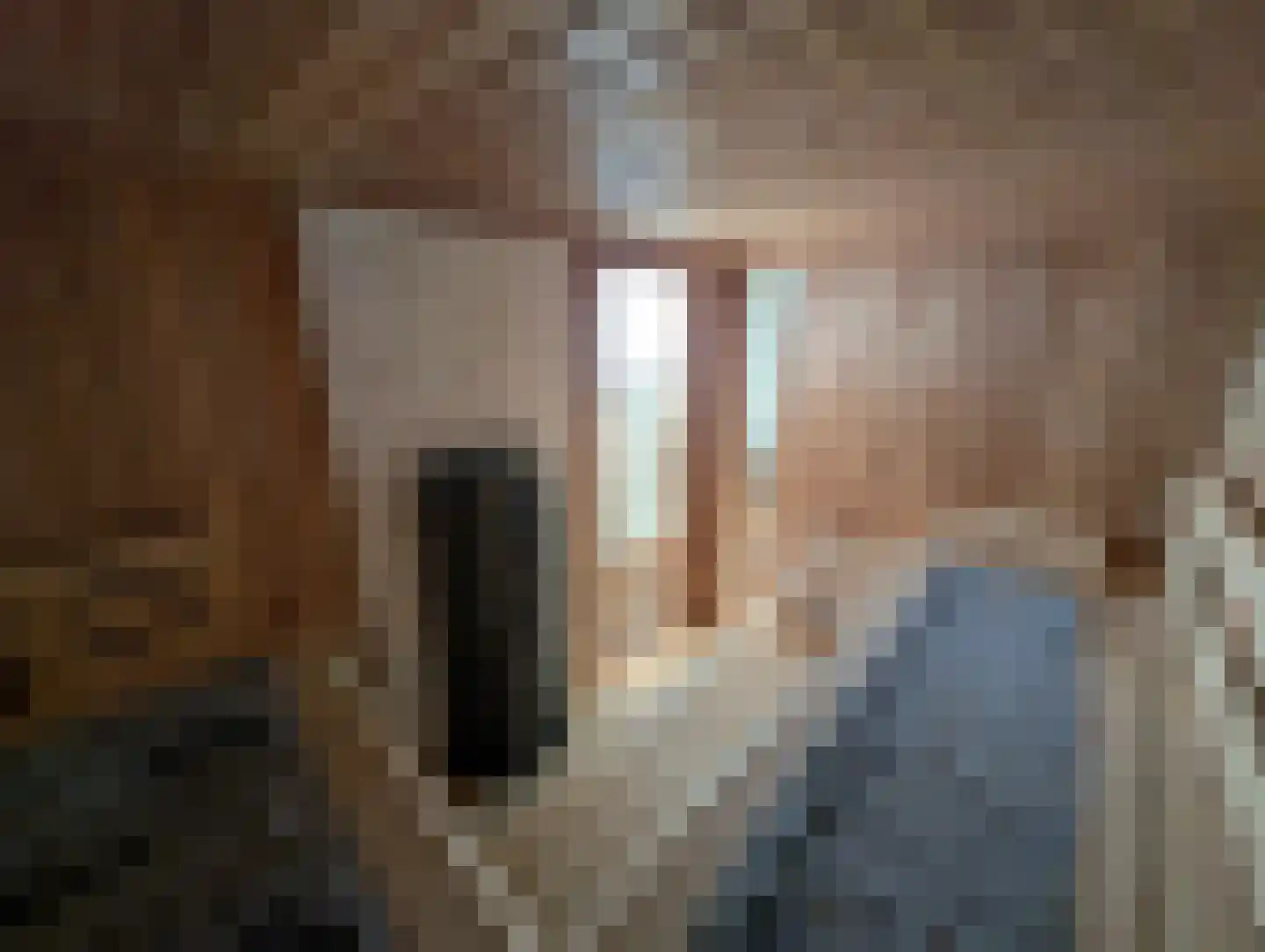 Snip 40 Groningen thumbnail 26