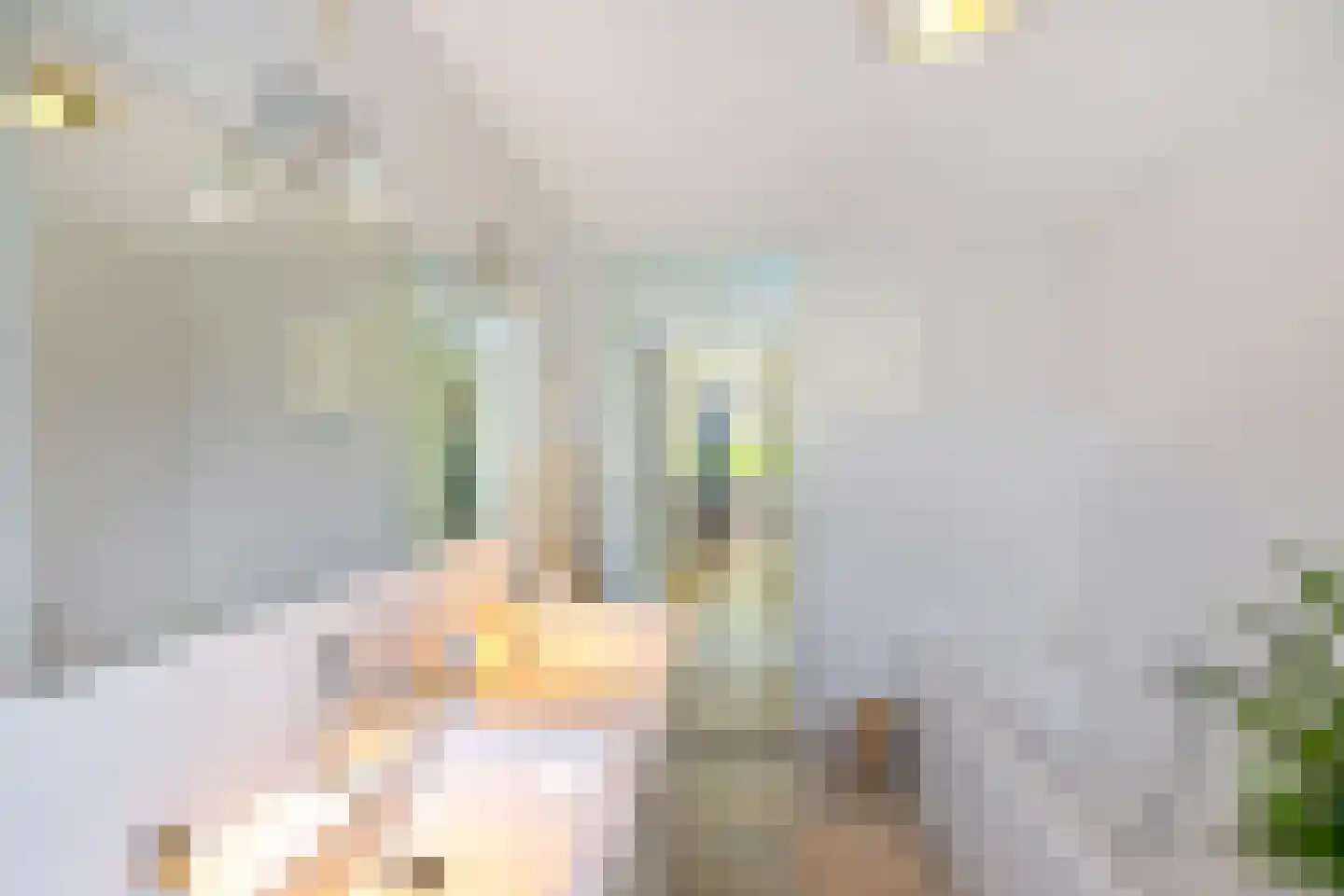 Snip 40 Groningen thumbnail 37
