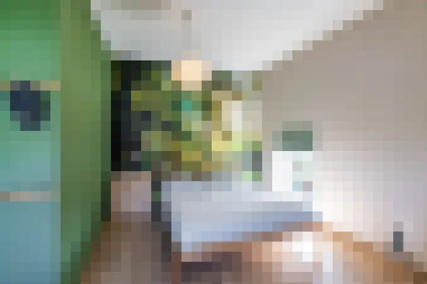 Snip 40 Groningen thumbnail 43