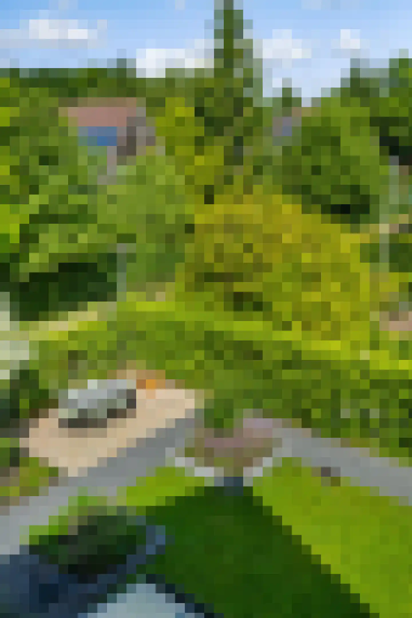 Snip 40 Groningen thumbnail 50