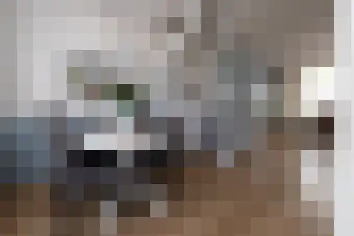 Snip 55 Grijpskerk thumbnail 15