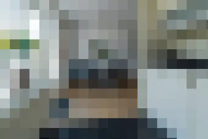 Snip 55 Grijpskerk thumbnail 16