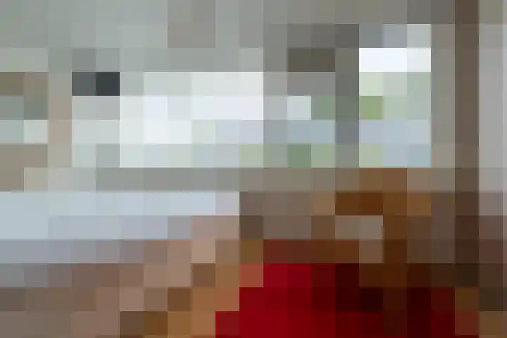 Snip 55 Grijpskerk thumbnail 21