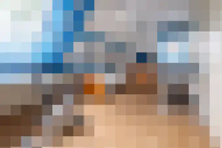 Snip 55 Grijpskerk thumbnail 23