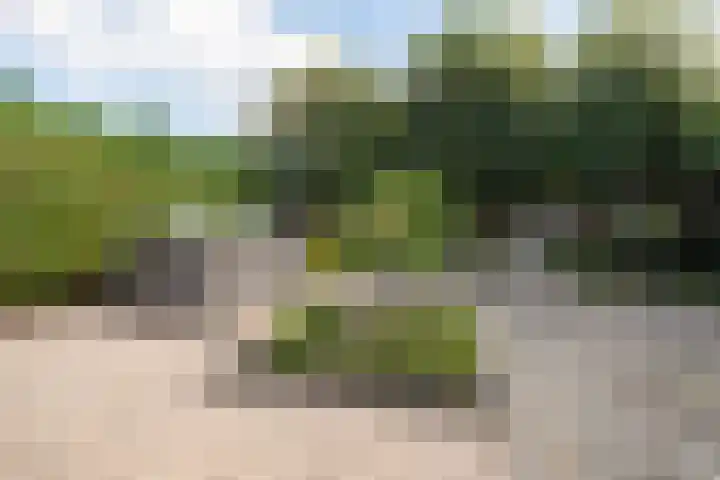 Snip 55 Grijpskerk thumbnail 32