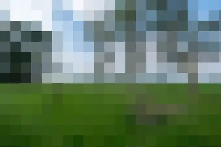 Snip 55 Grijpskerk thumbnail 33