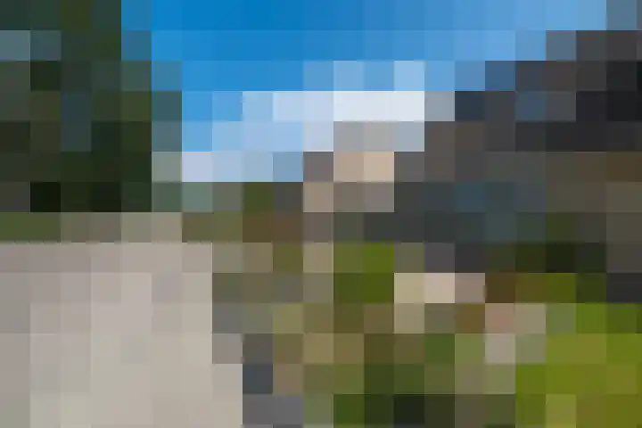 Snip 55 Grijpskerk thumbnail 7
