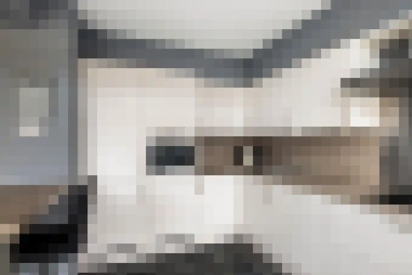 Snip 6 Gouderak thumbnail 11