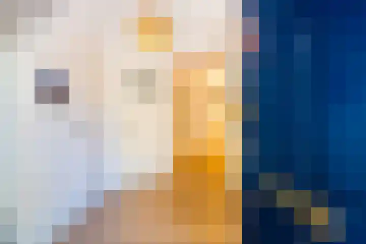Snip 62 Groningen thumbnail 12