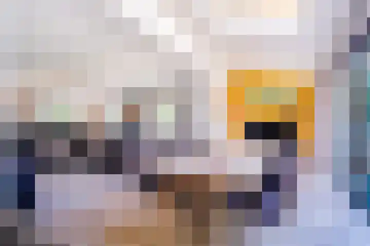 Snip 62 Groningen thumbnail 17