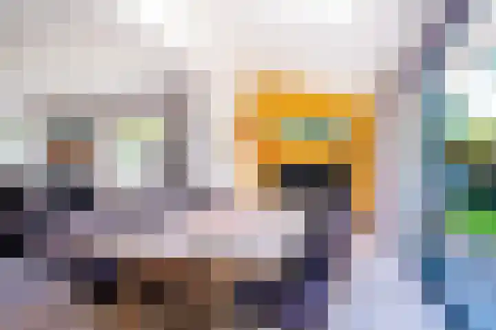Snip 62 Groningen thumbnail 31