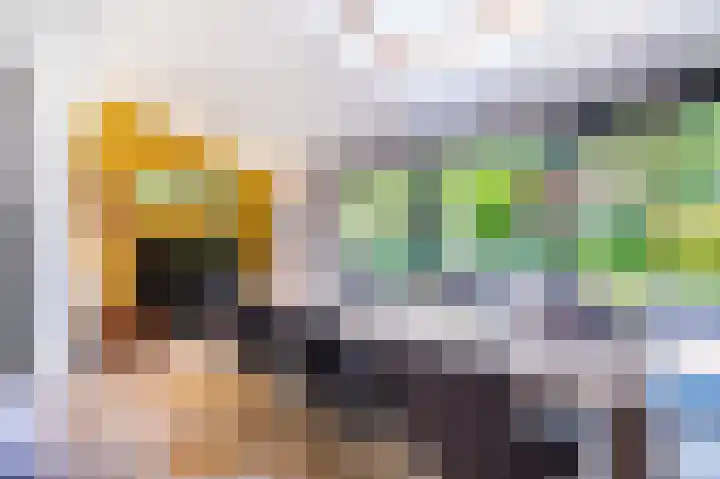 Snip 62 Groningen thumbnail 33