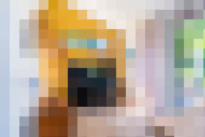 Snip 62 Groningen thumbnail 36