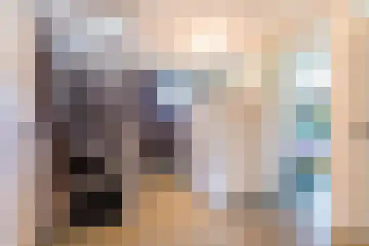 Snip 62 Groningen thumbnail 37