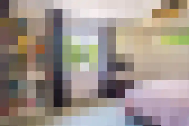 Snip 62 Groningen thumbnail 40