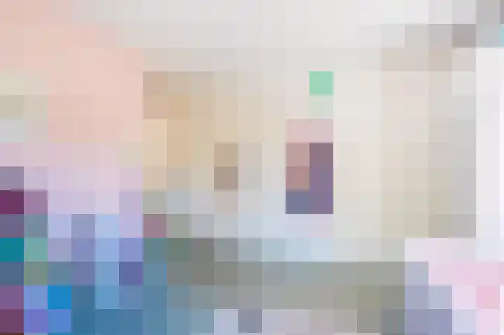 Snip 62 Groningen thumbnail 43