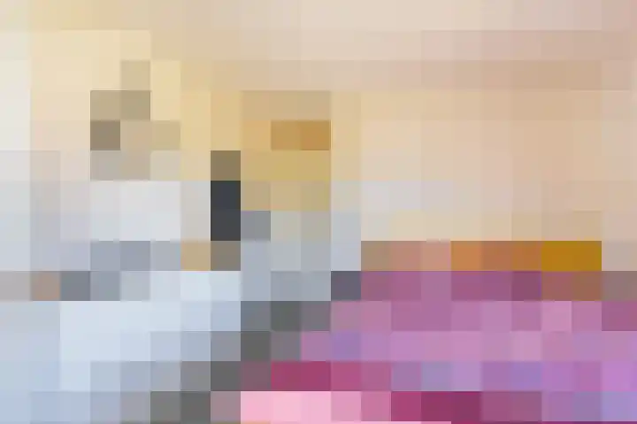 Snip 62 Groningen thumbnail 47