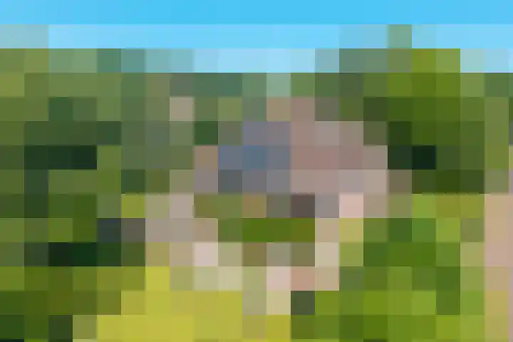 Snip 62 Groningen thumbnail 5