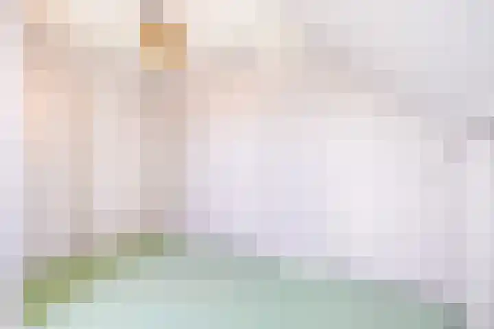 Snip 62 Groningen thumbnail 54