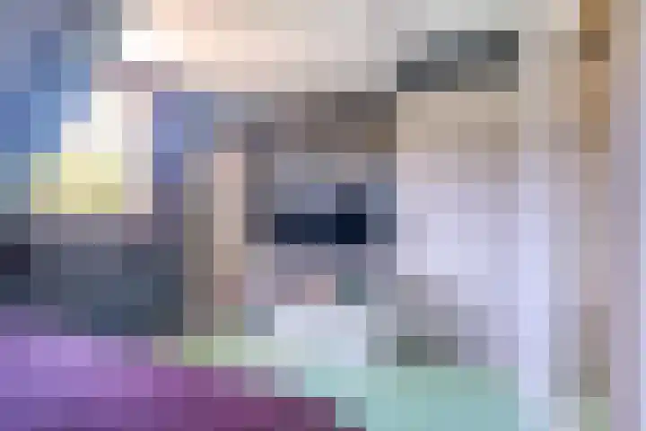 Snip 62 Groningen thumbnail 56