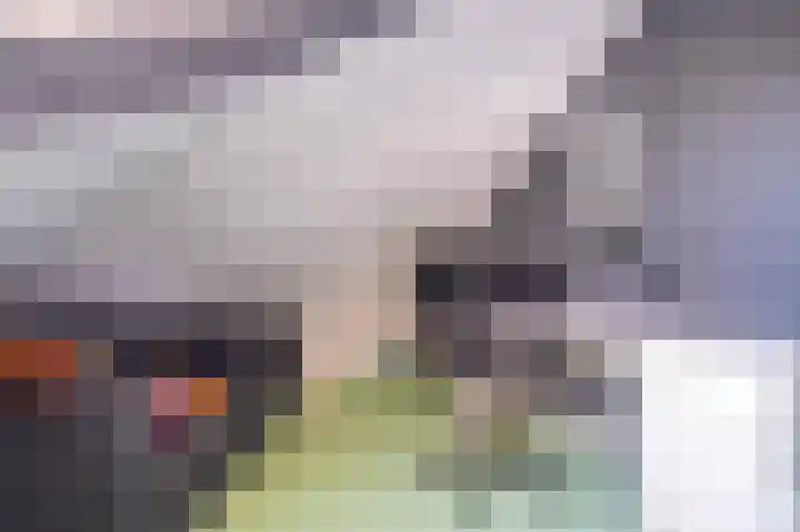 Snip 62 Groningen thumbnail 58