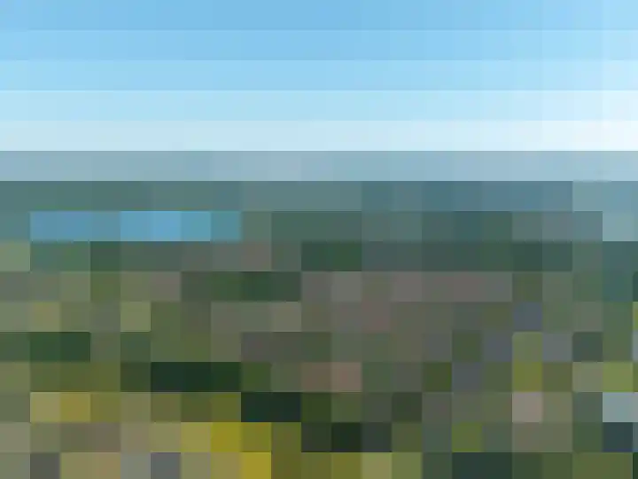 Snip 62 Groningen thumbnail 6