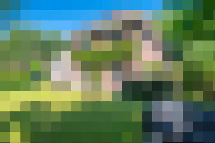 Snip 62 Groningen thumbnail 68