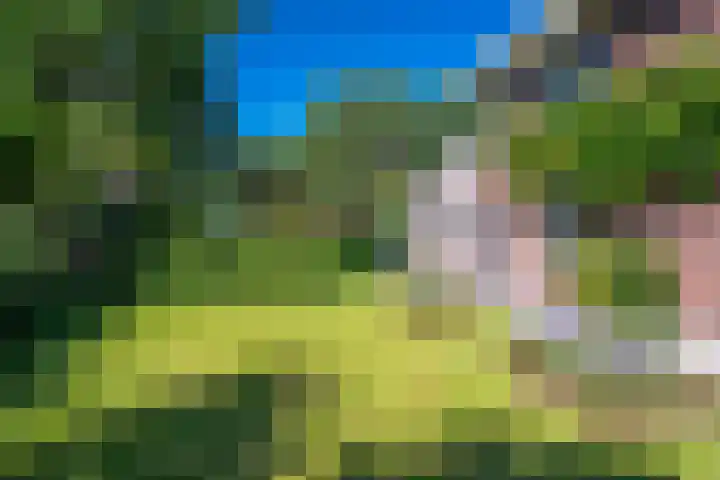 Snip 62 Groningen thumbnail 69