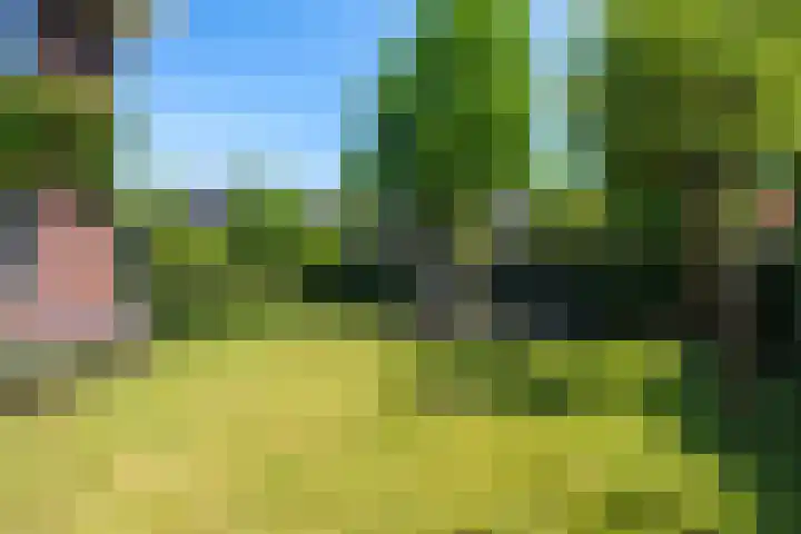 Snip 62 Groningen thumbnail 70