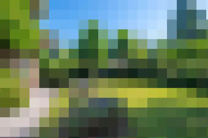 Snip 62 Groningen thumbnail 71