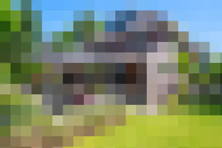 Snip 62 Groningen thumbnail 72